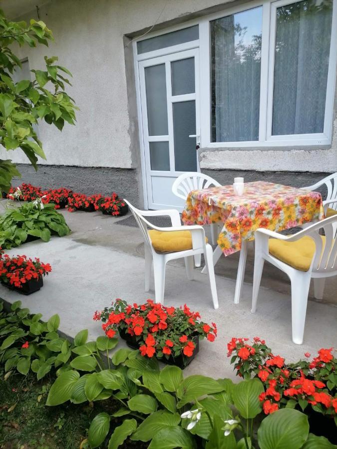 Apartamento Pavicevic Soko Banja Exterior foto