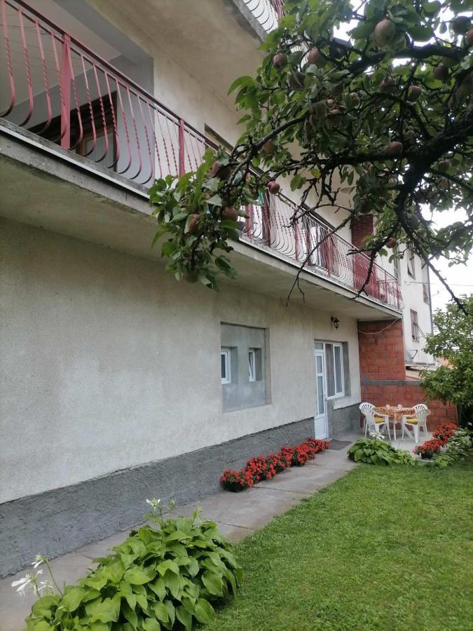 Apartamento Pavicevic Soko Banja Exterior foto